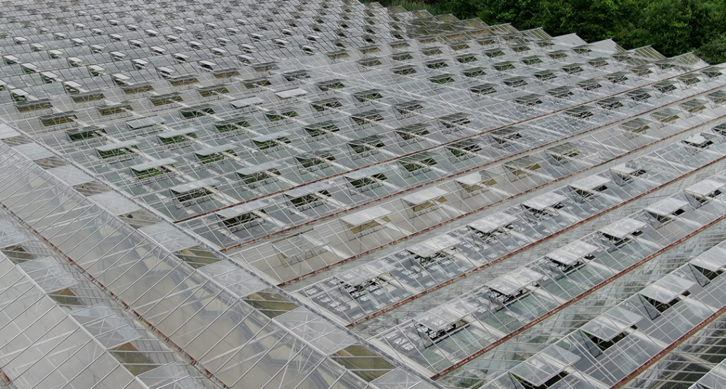 GreenhouseOverhead
